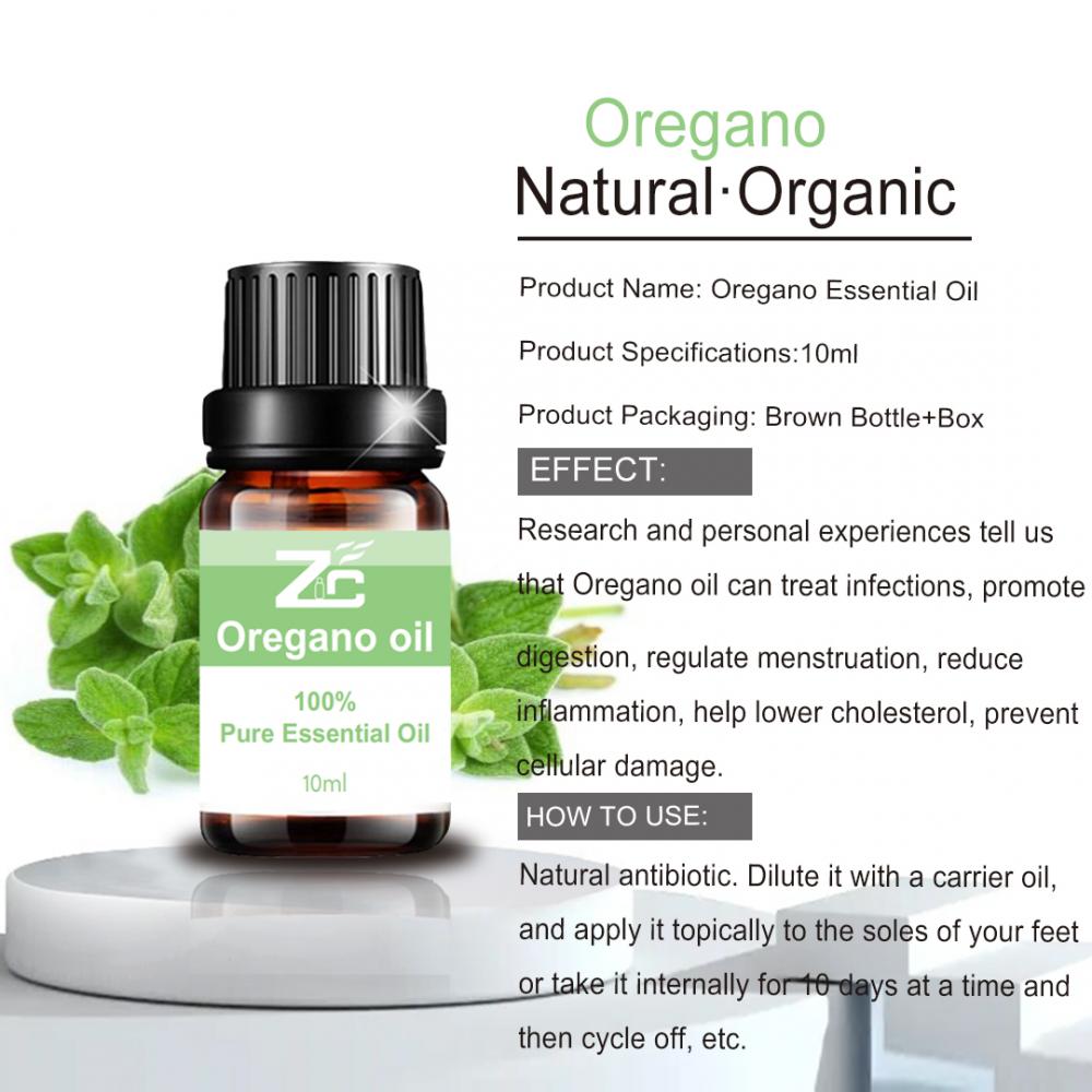 Top Quality Pure Oregano Oil for Nail and Skin