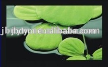 Velvet Fixed Frame Projector Screen/120" 6pcs Frame Projection Screen