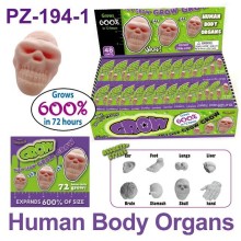 Crazy Water Growing Human Body Organs