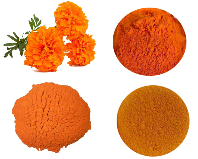 Marigold Flower extract