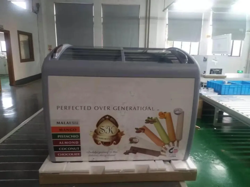 Professional Freezer Manufacturer R290 Refrigerant Commercial Display Freezer