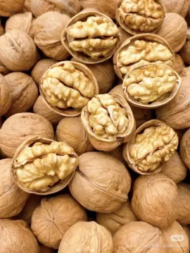 High Quality Large Walnut