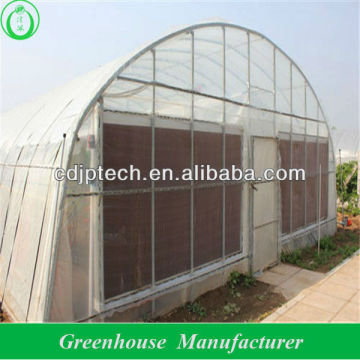 agricultural gothic greenhouse