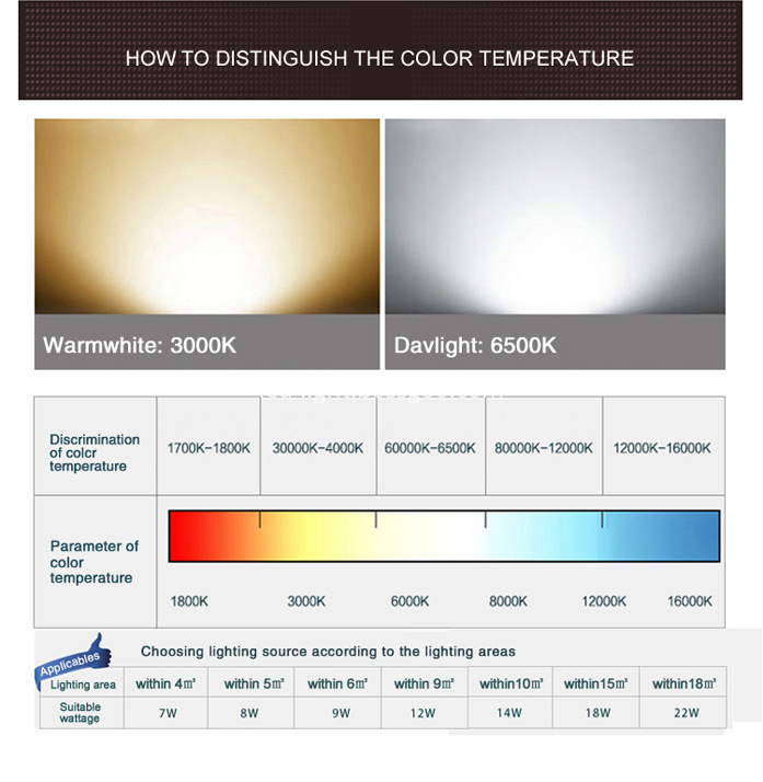 Filament LED Bulb G80 8W