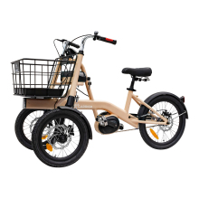 Popular Design Motorized Trikes & Electrical Tricycles For Adults & Seniors