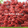 Wholesale Bulk Vitamins Low Pesticide Goji Berries