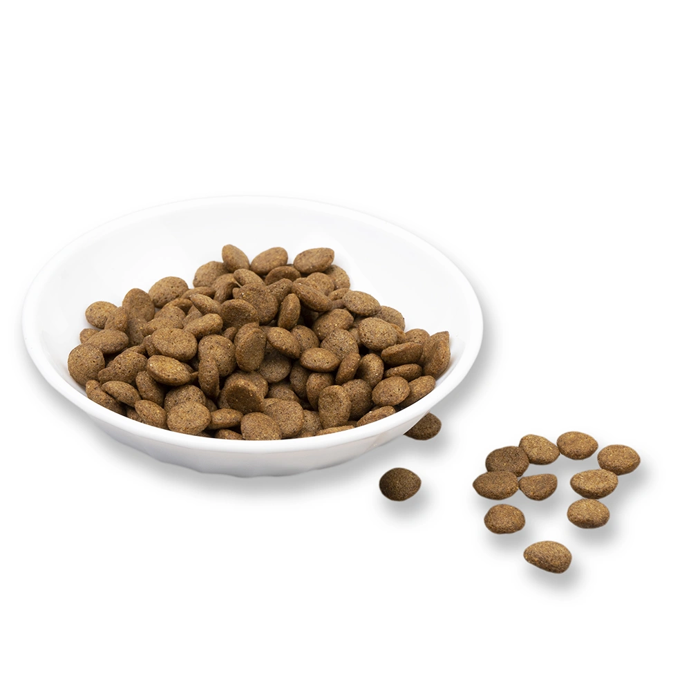 Pet Food Private Label Supplier Healthy Cat Food Dry Cat Food