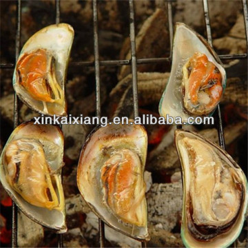 Galvanized Barbecue Wire Mesh/Crimped wire mesh for roast