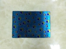 Digital Stainless Steel Sheet Printing Press (Colorful 1225)