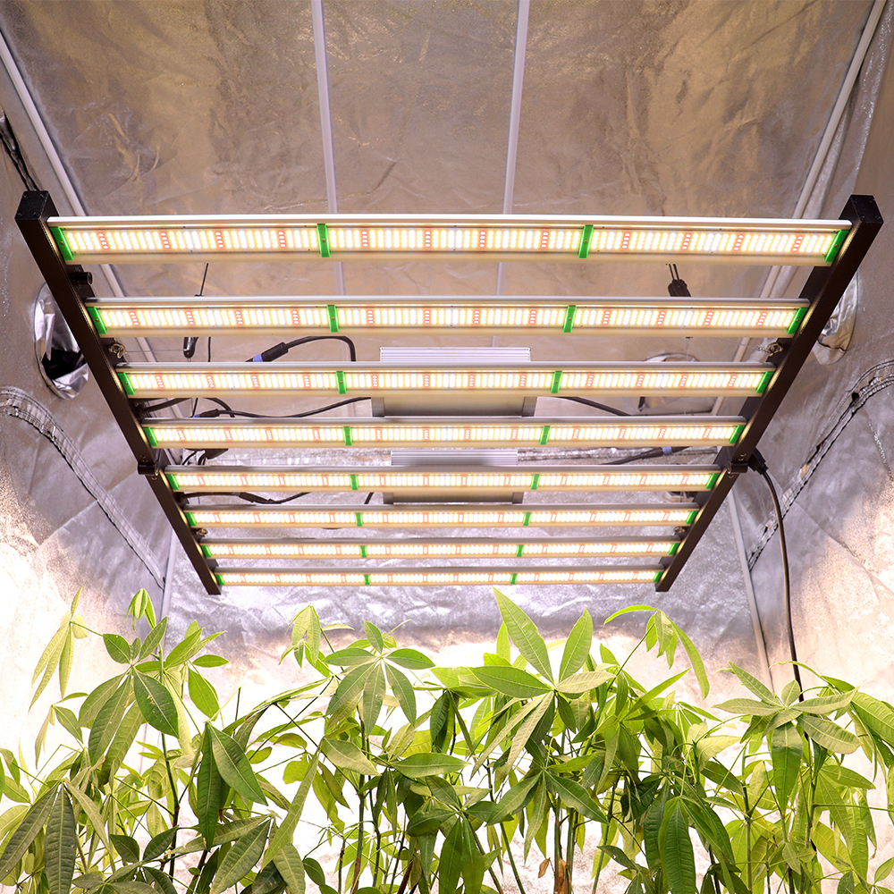 Led Lighting For Indoor Growing