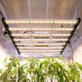 タイstocks1000W LED Grow Light Bar