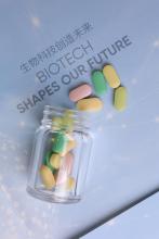 Probiotic Supplement Lactobacillus Bulgaricus 20B CFU/g