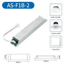 Full Power Emergency Backup System with External Light