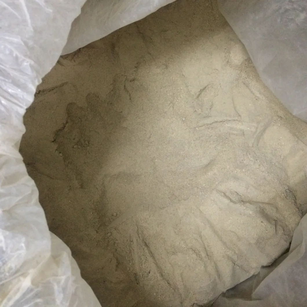 Dried Shiitake Mushroom Powder 120 Mesh