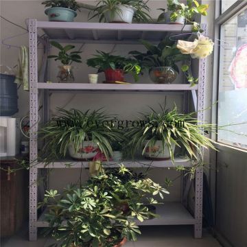 4 layers steel storage butterfly hole shelf rack