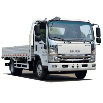 ISUZU 5Ton Truck Cargo Van Mini Lorry Truck