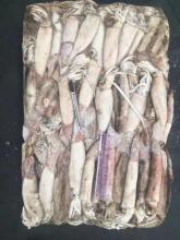 Top Producer Frozen Squid Todarodes Pacificus 80-120g