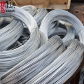 Good Selling Electroplating Galvanized Binding Steel Wire