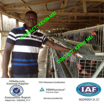 Battery cages for layer hens