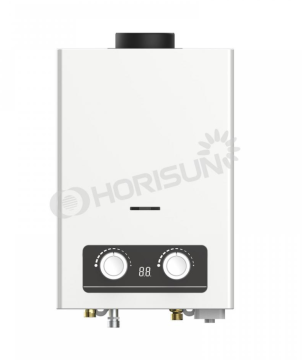 hot sale Flue Type Gas Water Heater