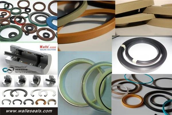 Oil and Gas Sealing Products