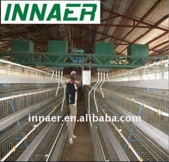 Automatic feeding equipment for poultry