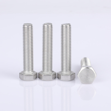 Stainless steel hexagonal bolt