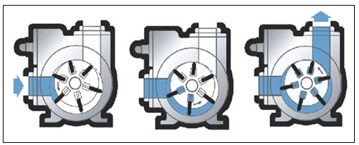 Liquefied Petroleum Gas electric motor LPG transfer pump