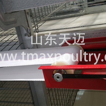 Egg Conveyor Belt For Chicken Cages