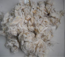Carpet Grade Scoured Clipped Wool,White color