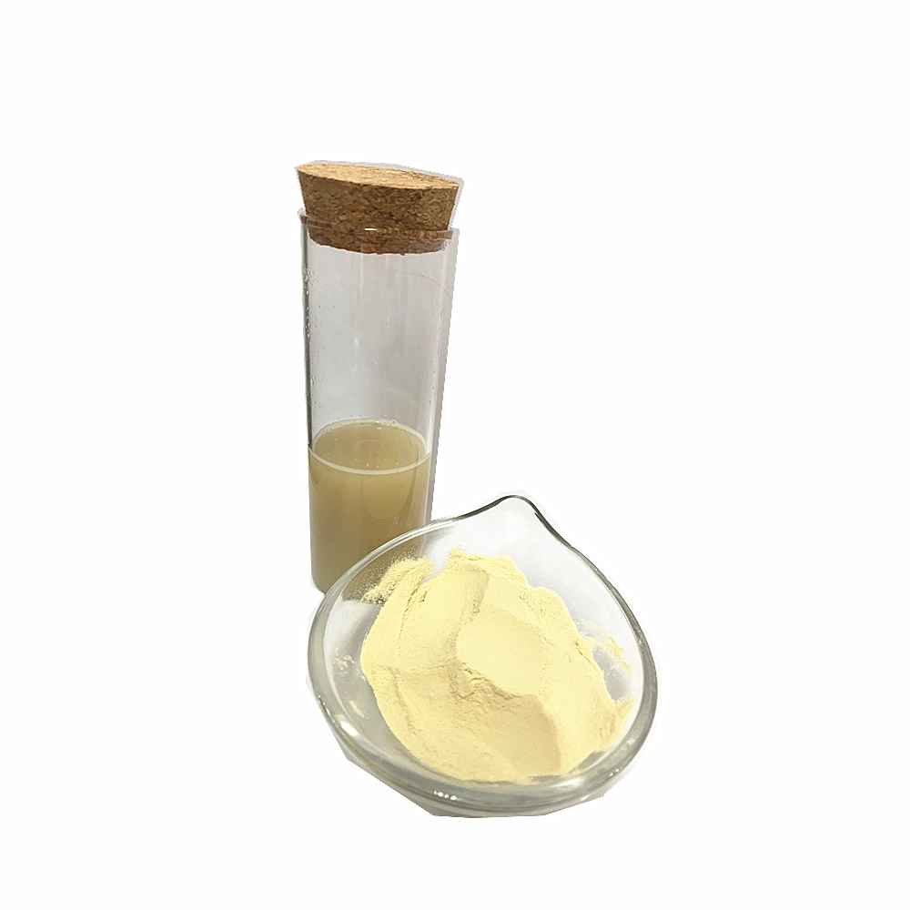 Pure Spray Dried Vegetable Powder Ginger Powder