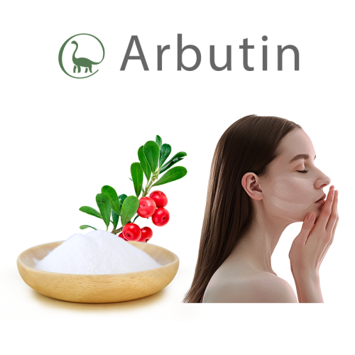 Bột Alpha Arbutin làm trắng da số lượng lớn