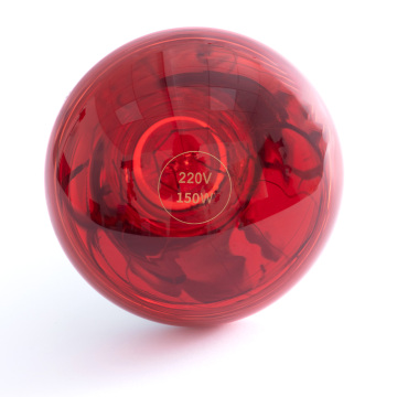 Solar Light Testing for Car Windows