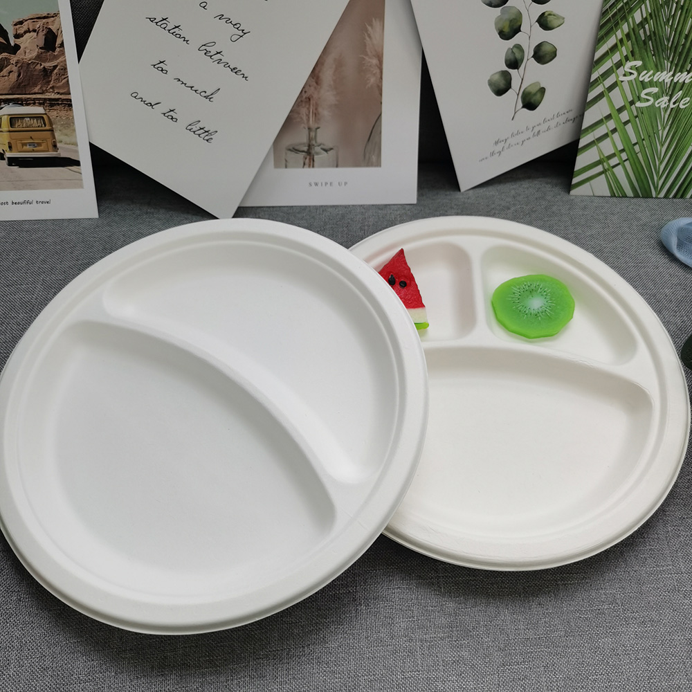 prato de bagaço bagasse plate