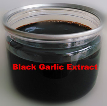 High quality black garlic concentrated extract