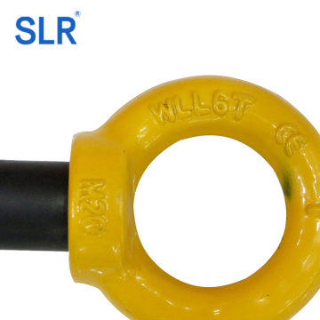 G80 Clevis Slip Hook With Latch Cast