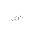 Một kháng viêm hợp 4-Ethoxybenzaldehyde 10031-82-0