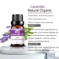 Top Selling Pure Lavender Essential Oil For Massage