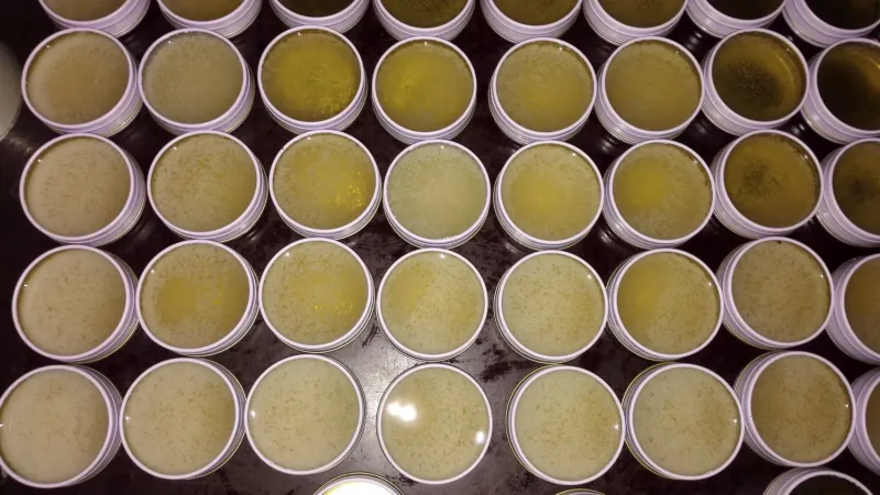 Wholesale 50g Original Rosin Soldering Flux Paste for Phone PCB Top