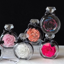Eternal Roses Wholesale: Decorative Preserved Roses in Acrylic Bottles