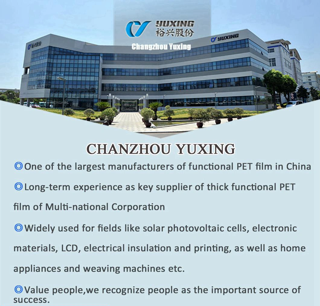 Black Solar Pet Backsheet Film for PV Solar Panel (CY28)