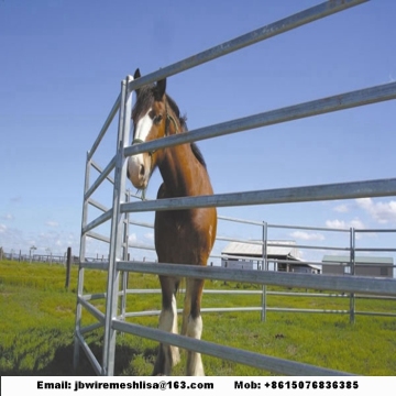 Galvanized  Horse Fence/Cattle Fence/Livestock Fence
