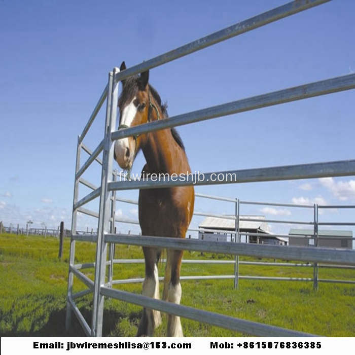 Clôture de cheval galvanisée / clôture de bétail / clôture de bétail