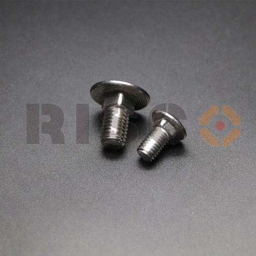 Stainless Steel Low Price DIN603 Carriage Bolt