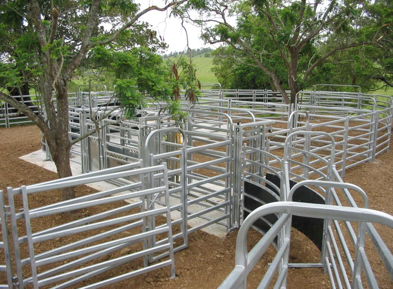 Livestock Cattle Curved Race Panels