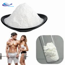 Supply High Quality Sarms Yk 11 Powder/ liquid/capsule