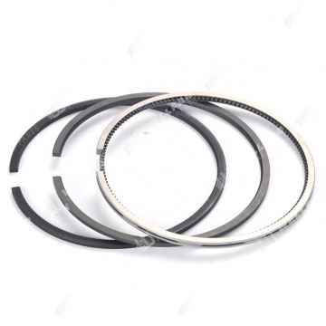 1.9L Diesel F8Q Clio R19 NPR Piston Rings for Renault Engine Parts