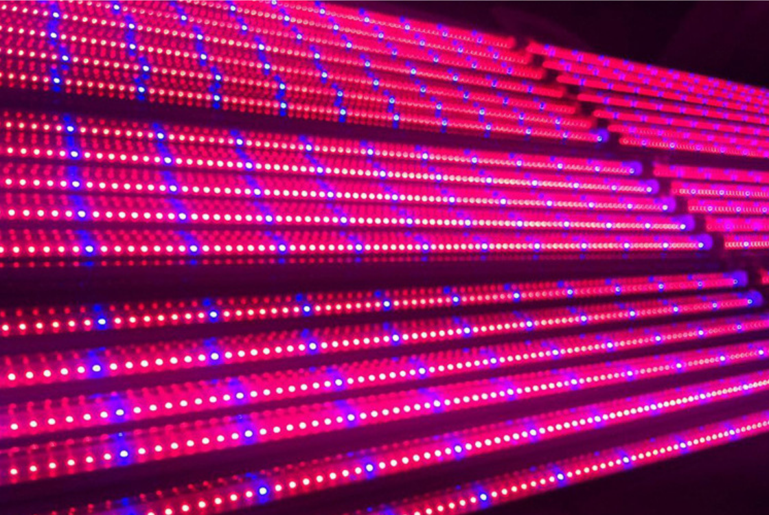 LED GROW LIGHT FOR GERMINATION DESIGN FOR HYDROPONIC CONTAINERS
