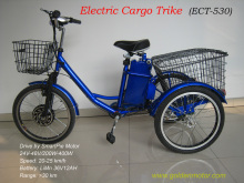Electric Cargo Tricycle with Magic Pie 3 or Smart Pie Moor