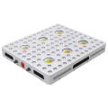 600 W potente Cree COB LED Grow Light